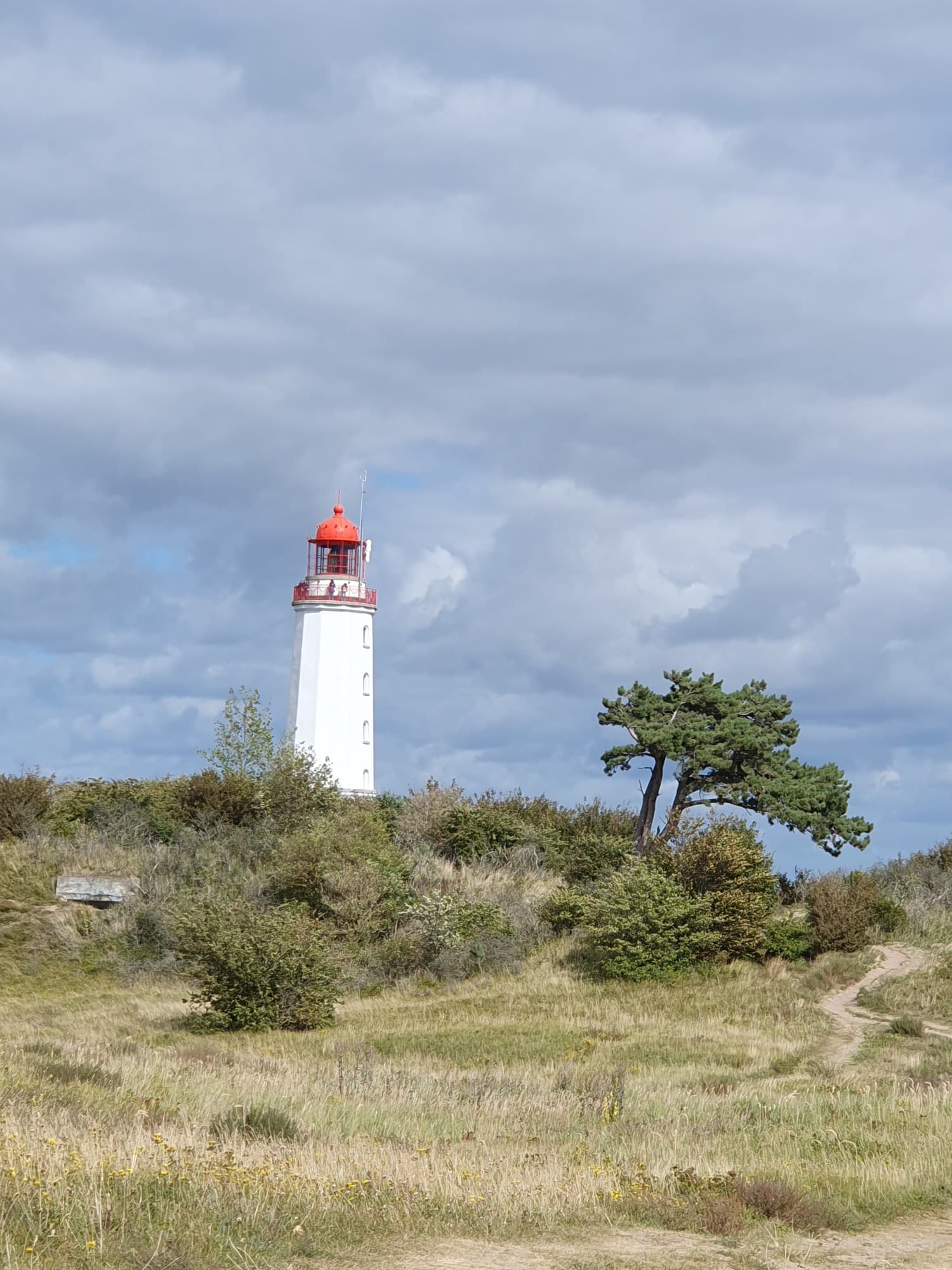 Naturszene